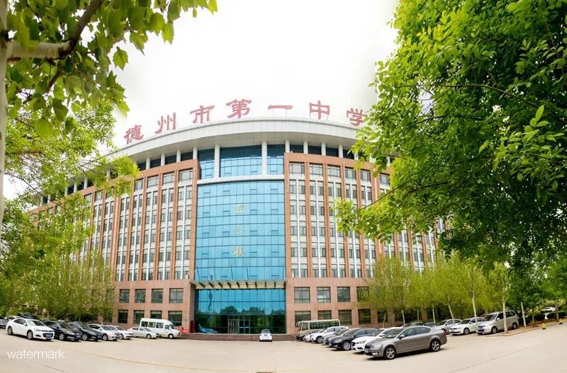 山東名?！轮菔械谝恢袑W(xué)測溫人臉識別+智能通行小擺閘門禁項目