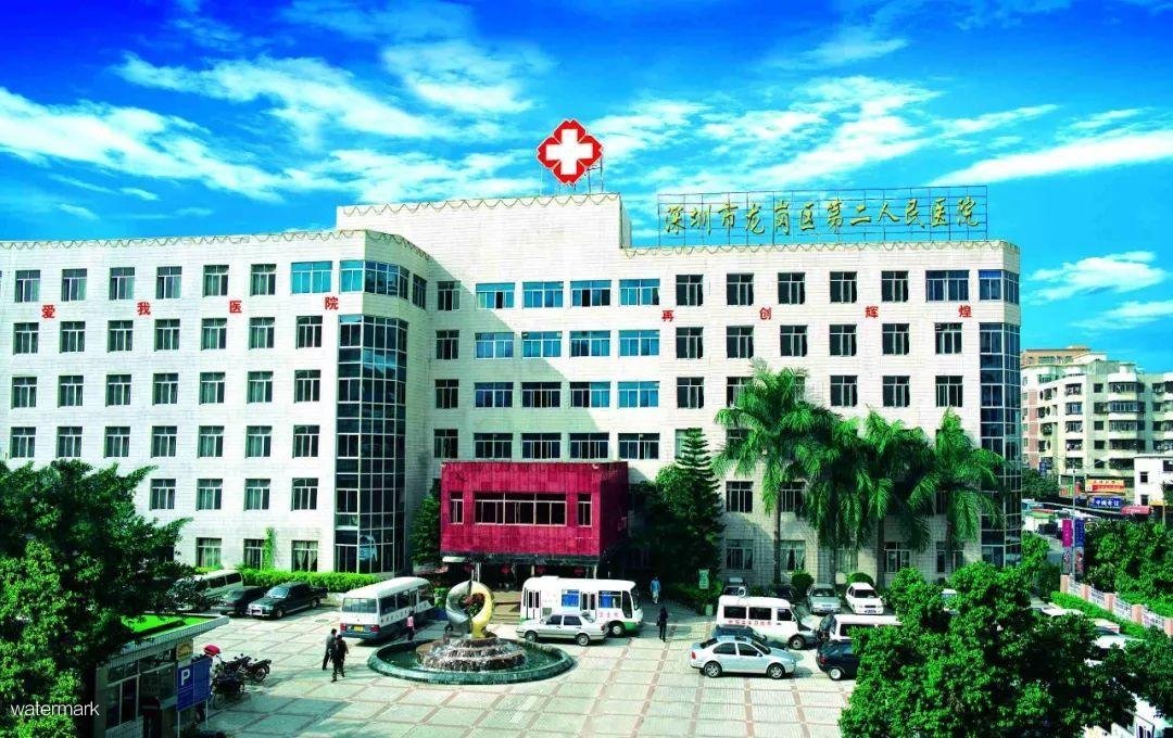 深圳市龍崗區第二人民醫院—測溫人臉識別健康碼擺閘工程