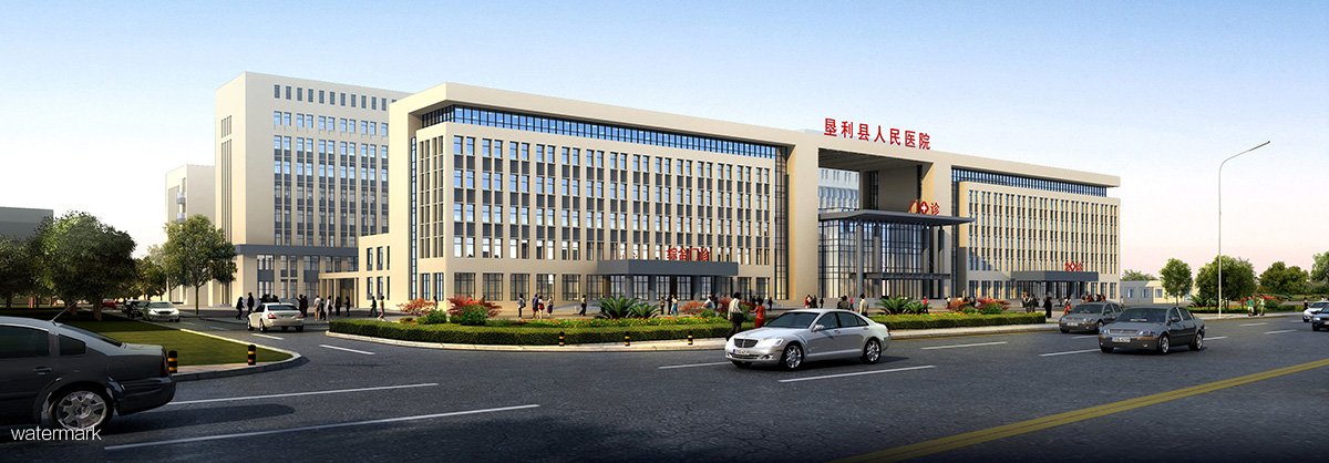 山東省東營市第五人民醫院——人臉測溫健康通行碼擺閘項目