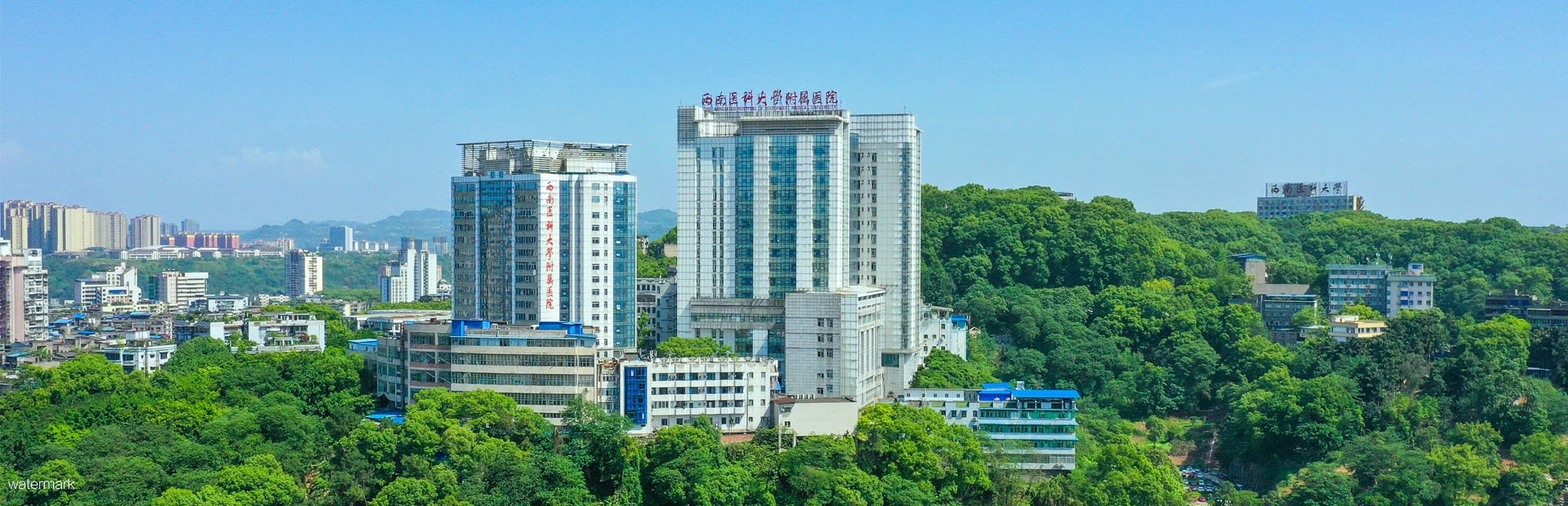 西南醫科大學附屬醫院——“智能擺閘”項目