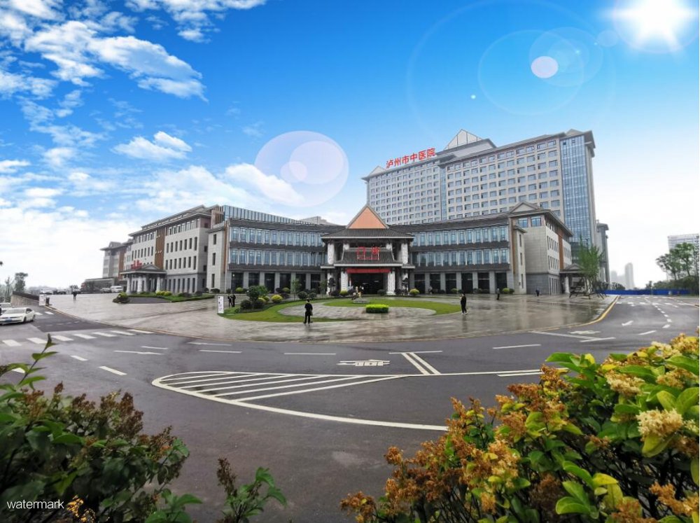 西南醫科大學——附屬瀘州市中醫醫院智能溫控防疫閘機項目