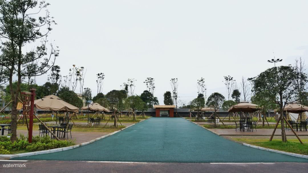 1657159723172832.jpg 2.jpg