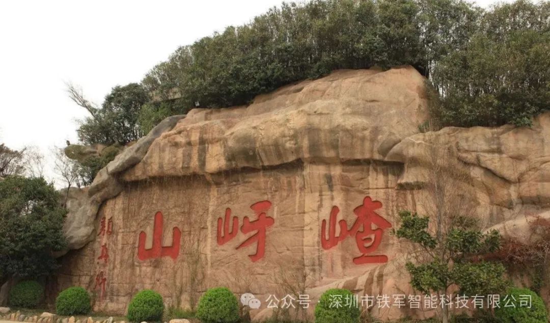 1763521313282781.jpg 1.jpg